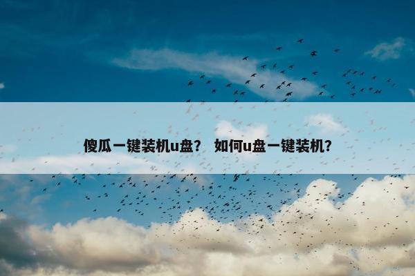 傻瓜一键装机u盘？ 如何u盘一键装机？
