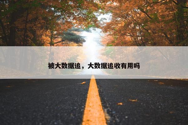 被大数据追，大数据追收有用吗