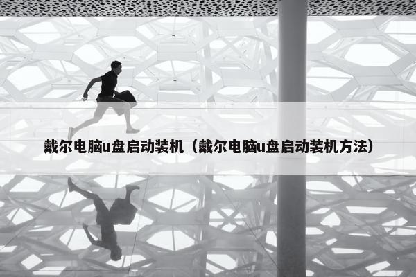 戴尔电脑u盘启动装机（戴尔电脑u盘启动装机方法）