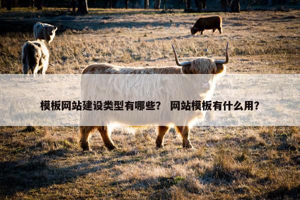 模板网站建设类型有哪些？ 网站模板有什么用？