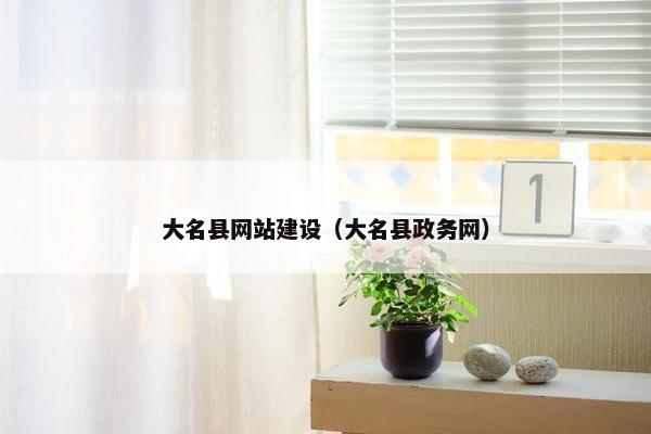 大名县网站建设（大名县政务网）