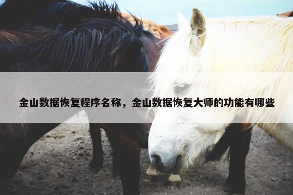 金山数据恢复程序名称，金山数据恢复大师的功能有哪些