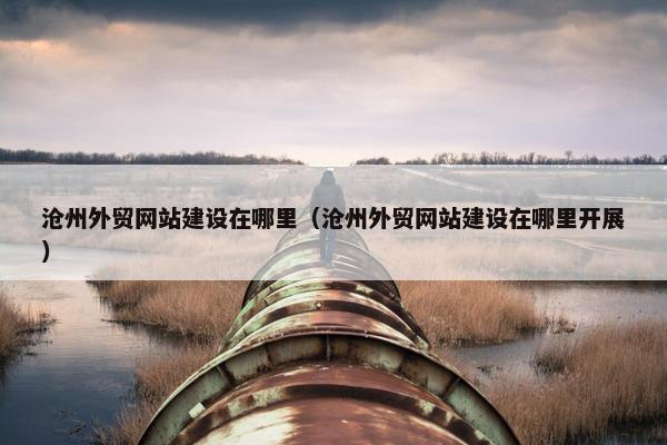 沧州外贸网站建设在哪里（沧州外贸网站建设在哪里开展）