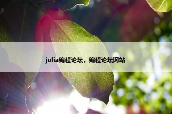 julia编程论坛，编程论坛网站