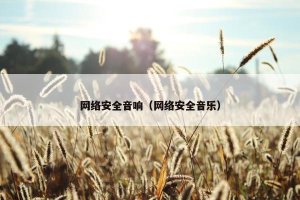 网络安全音响（网络安全音乐）