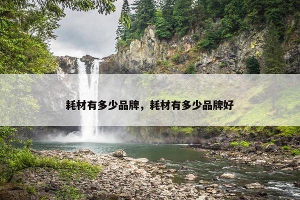 耗材有多少品牌，耗材有多少品牌好