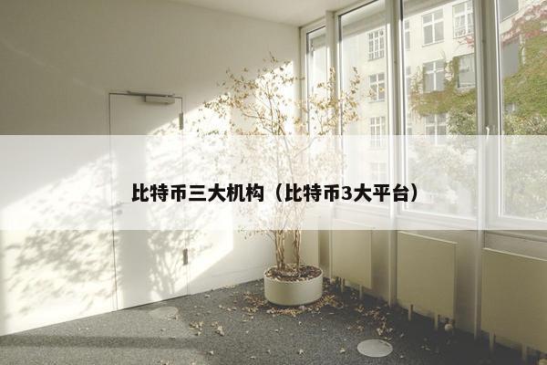 比特币三大机构（比特币3大平台）