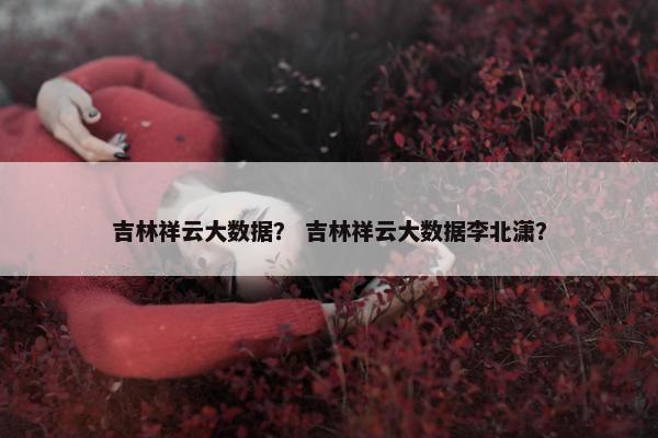 吉林祥云大数据？ 吉林祥云大数据李北潇？