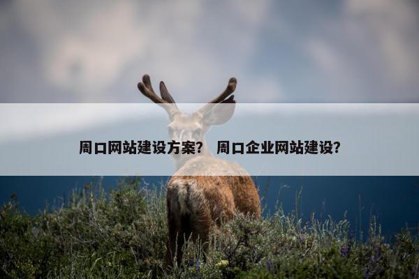 周口网站建设方案？ 周口企业网站建设？