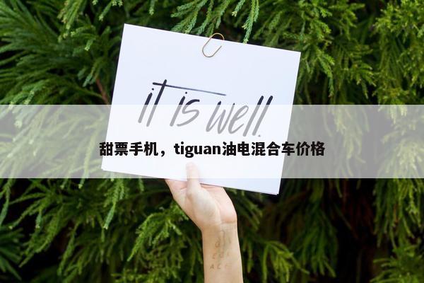 甜票手机，tiguan油电混合车价格