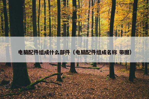 电脑配件组成什么部件（电脑配件组成名称 带图）
