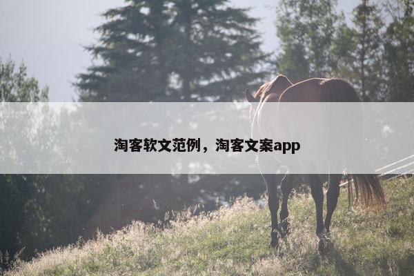 淘客软文范例，淘客文案app