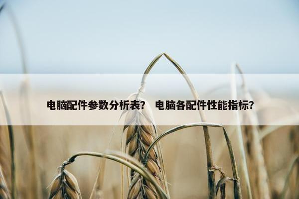 电脑配件参数分析表？ 电脑各配件性能指标？