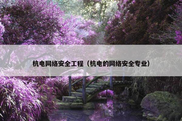 杭电网络安全工程（杭电的网络安全专业）