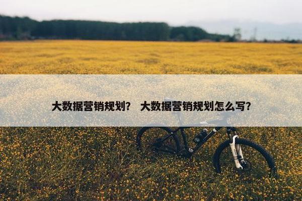 大数据营销规划？ 大数据营销规划怎么写？