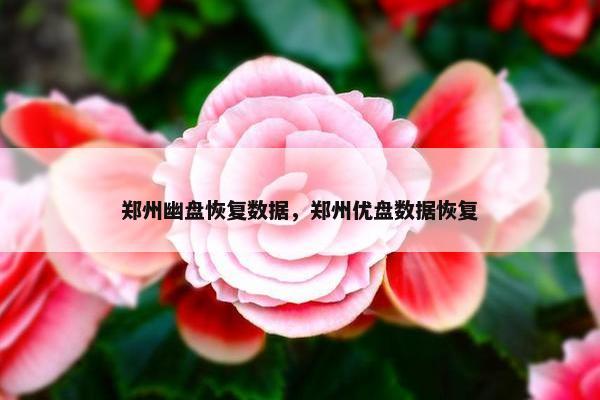 郑州幽盘恢复数据，郑州优盘数据恢复