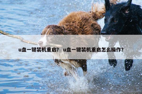 u盘一键装机重启？ u盘一键装机重启怎么操作？
