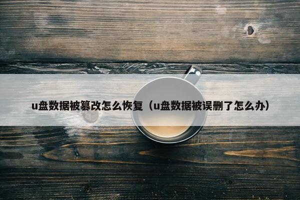 u盘数据被篡改怎么恢复（u盘数据被误删了怎么办）
