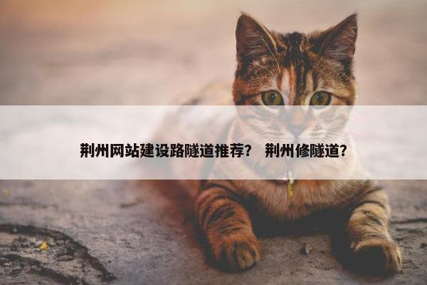 荆州网站建设路隧道推荐？ 荆州修隧道？