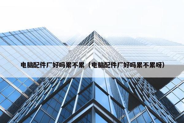 电脑配件厂好吗累不累（电脑配件厂好吗累不累呀）