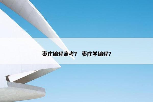枣庄编程高考？ 枣庄学编程？