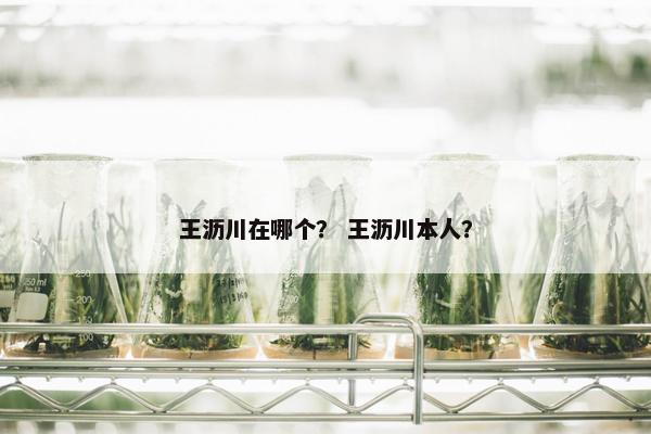 王沥川在哪个？ 王沥川本人？