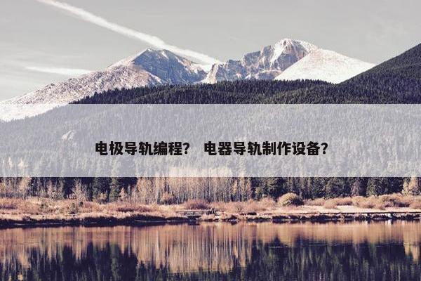 电极导轨编程？ 电器导轨制作设备？