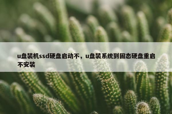 u盘装机ssd硬盘启动不，u盘装系统到固态硬盘重启不安装