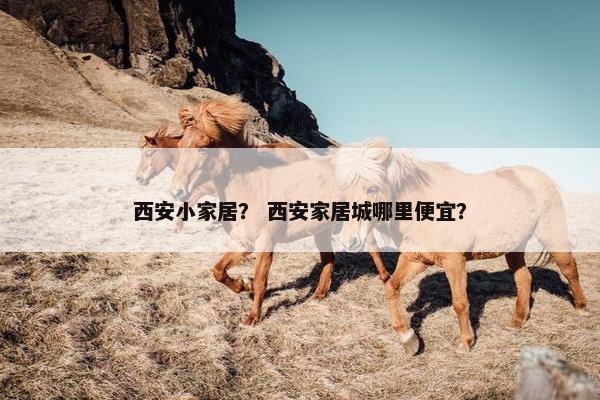 西安小家居？ 西安家居城哪里便宜？