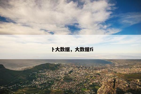 卜大数据，大数据fi
