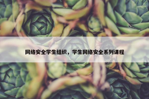 网络安全学生组织，学生网络安全系列课程
