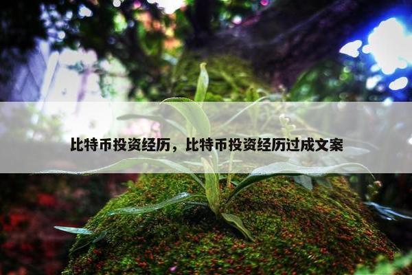 比特币投资经历，比特币投资经历过成文案