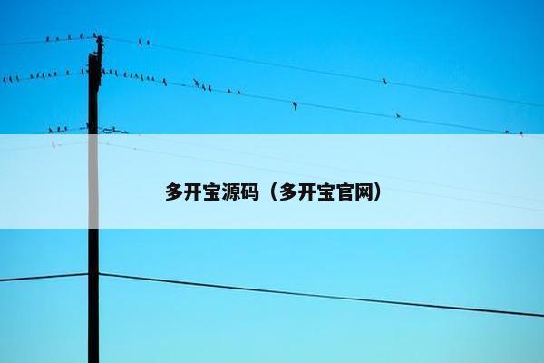 多开宝源码（多开宝官网）