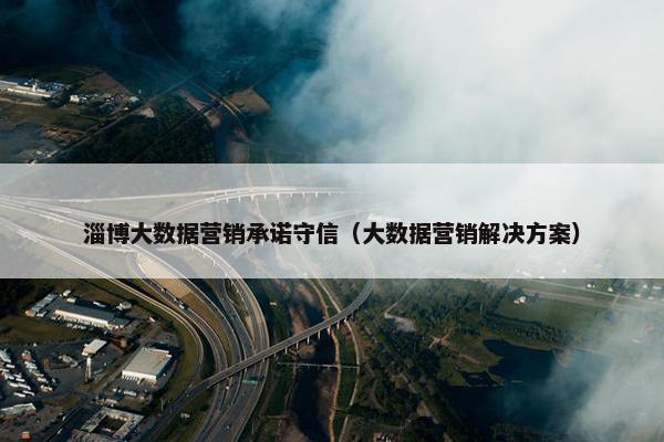 淄博大数据营销承诺守信（大数据营销解决方案）