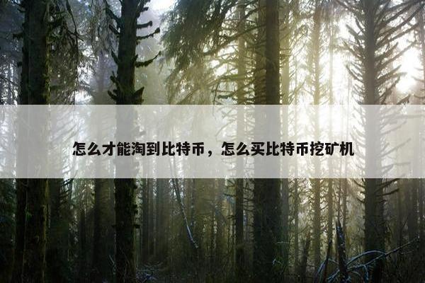 怎么才能淘到比特币，怎么买比特币挖矿机