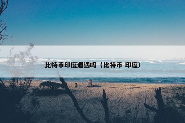 比特币印度遭遇吗（比特币 印度）