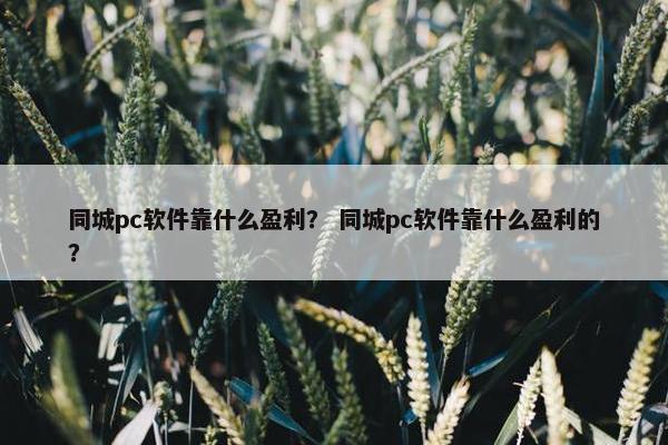 同城pc软件靠什么盈利？ 同城pc软件靠什么盈利的？