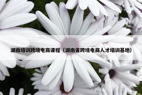 湖南培训跨境电商课程（湖南省跨境电商人才培训基地）