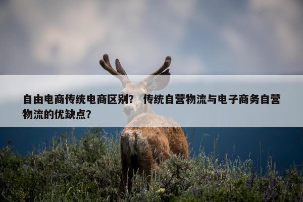 自由电商传统电商区别？ 传统自营物流与电子商务自营物流的优缺点？
