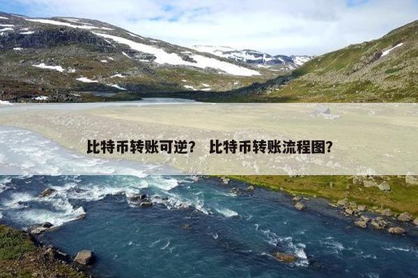 比特币转账可逆？ 比特币转账流程图？