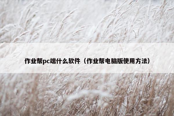 作业帮pc端什么软件（作业帮电脑版使用方法）