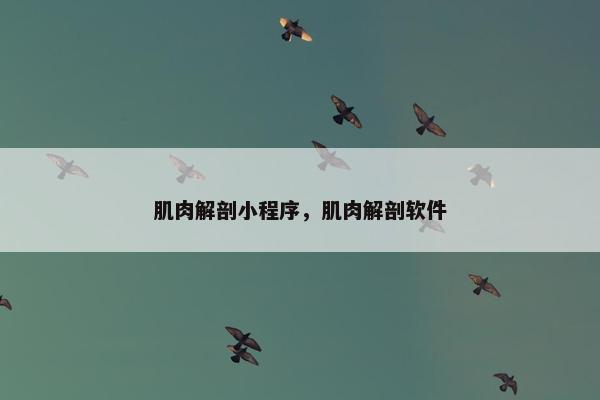 肌肉解剖小程序，肌肉解剖软件
