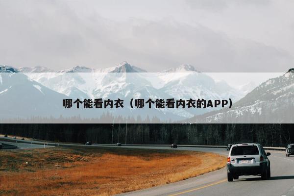 哪个能看内衣（哪个能看内衣的APP）