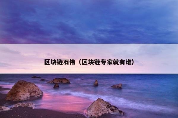 区块链石伟（区块链专家就有谁）