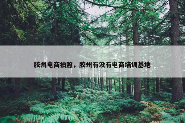 胶州电商拍照，胶州有没有电商培训基地