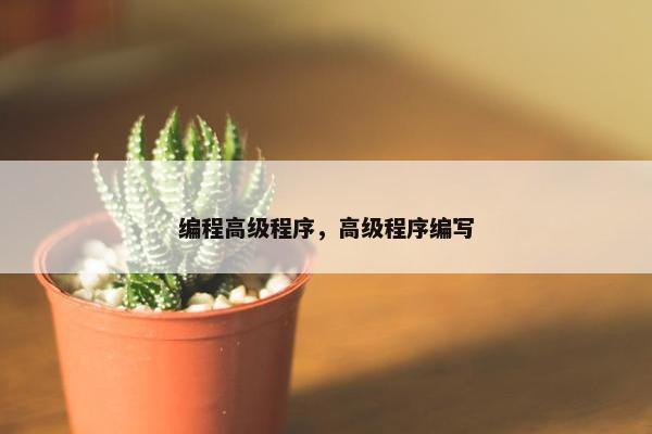 编程高级程序，高级程序编写