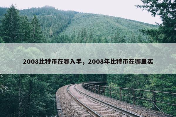 2008比特币在哪入手，2008年比特币在哪里买
