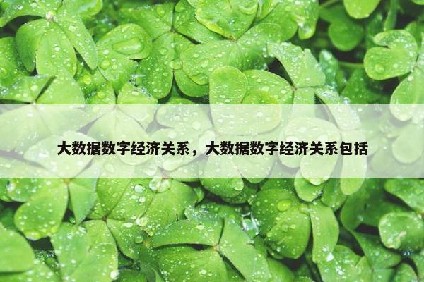 大数据数字经济关系，大数据数字经济关系包括
