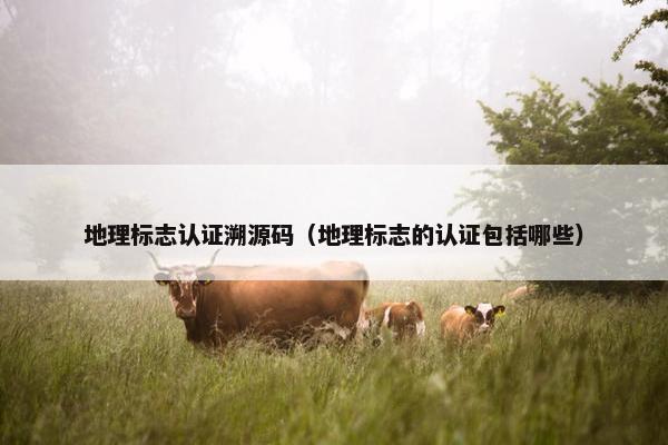 地理标志认证溯源码（地理标志的认证包括哪些）