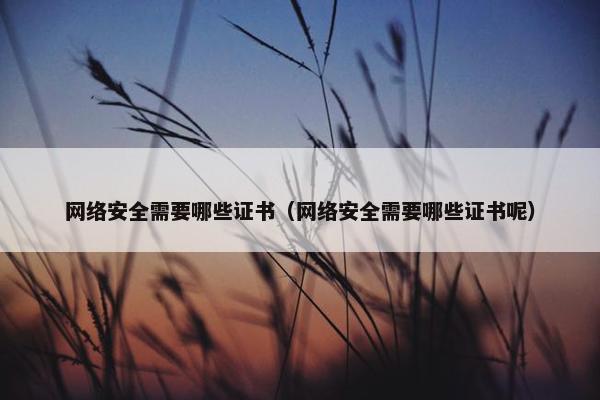 网络安全需要哪些证书（网络安全需要哪些证书呢）